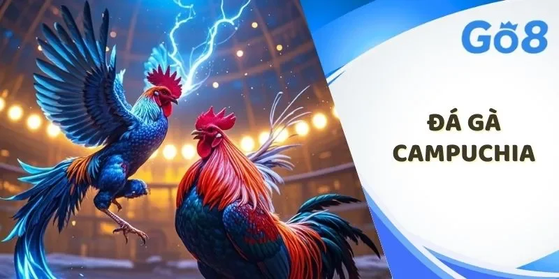 đá gà Campuchia