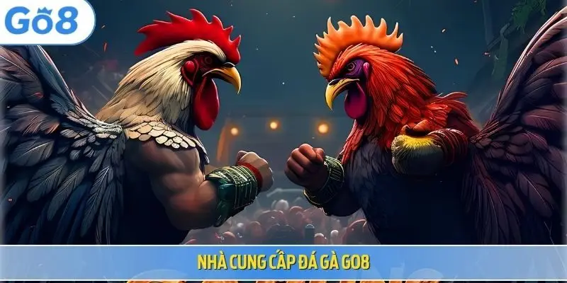 Nhà cung cấp đá gà Go8