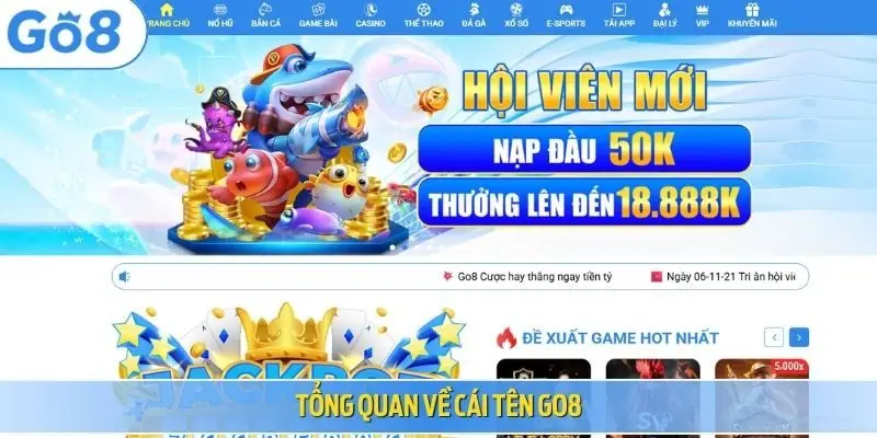 Tổng quan về cái tên Go8